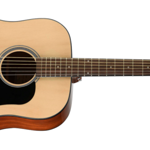 Standard D450 by Walden Guitars