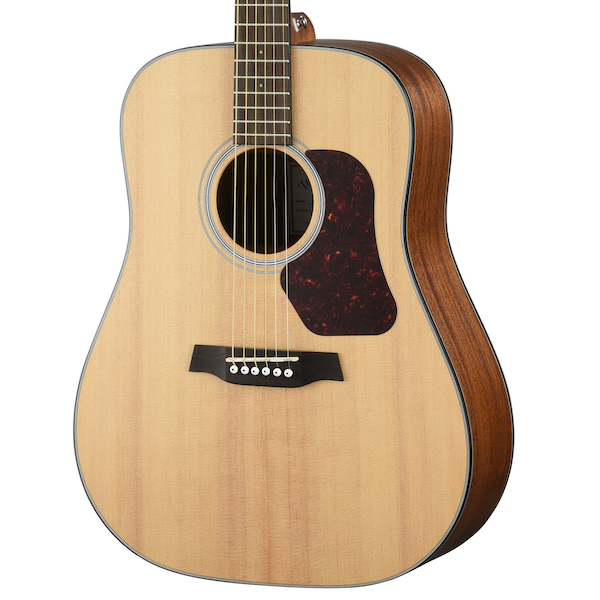 Walden Guitars Natura D550E Dreadnought acoustic guitar body - solid spruce top glam photo