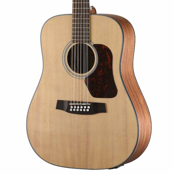 Walden Guitars Natura D552E Dreadnought 12-string acoustic guitar body - solid Spruce top glam photo