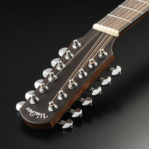 Walden Guitars D552E Dreadnought 12-String acoustic guitar - ART headstock closeup glam photo