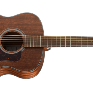 Natura G551E by Walden Guitars