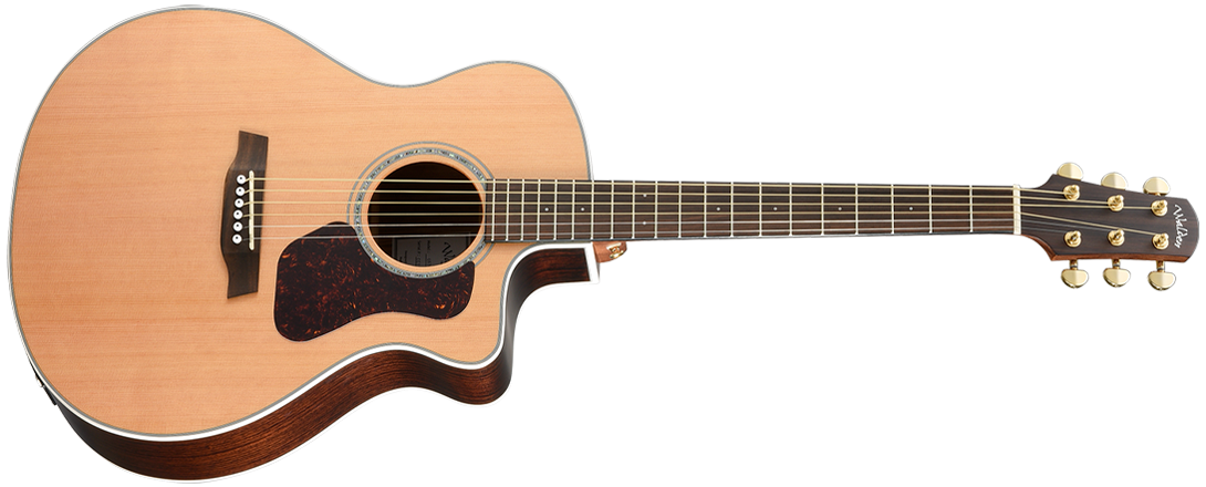 Natura G630CE by Walden Guitars