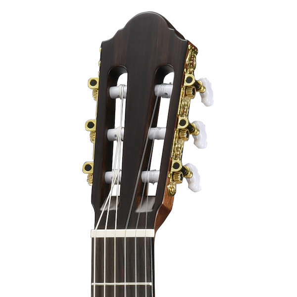Walden Guitars N550E classical guitar headstock - closeup glam photo